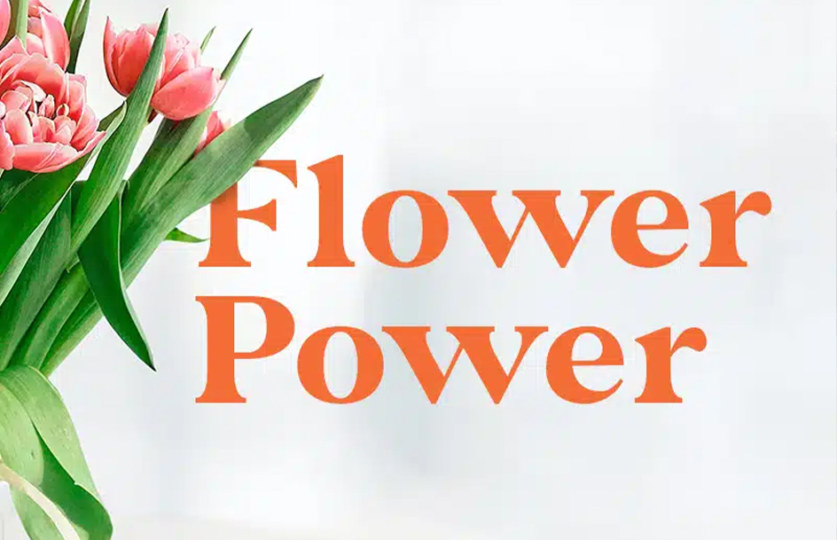 FlowerPower-update