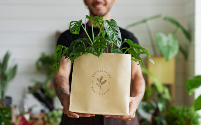 Collecting with Confidence: Cheddar Up vs. Clover
