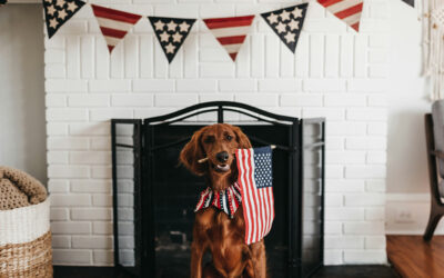 Your Ultimate Guide to 4th of July Invitations