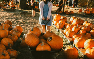 How to Host a Successful Pumpkin Patch Fundraiser