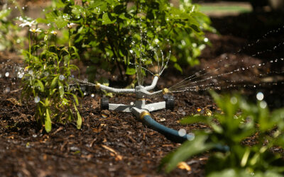 Mulch Fundraiser 101: How to Grow Your Profits