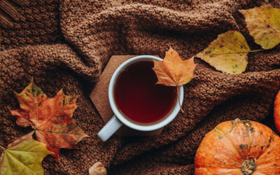 12 Fabulous Fall Fundraiser Ideas for Schools and Families