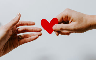 The Best Giving Tuesday Campaigns: A Guide to Success
