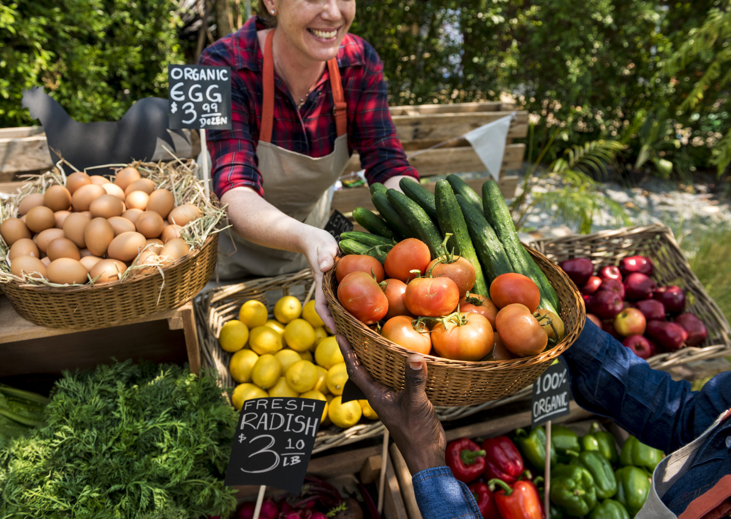 how to host a vendor market