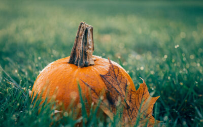 Fall Activities for Preschoolers: 20+ Classroom and Outdoor Ideas for Ages 3–5