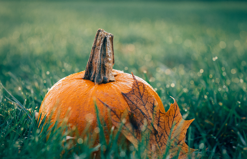 fall-activities-hero