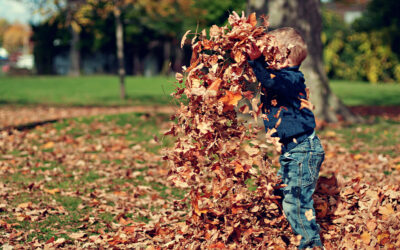 Preschool Fall Festival Ideas: Games, Activities, and Booth Ideas for Little Learners