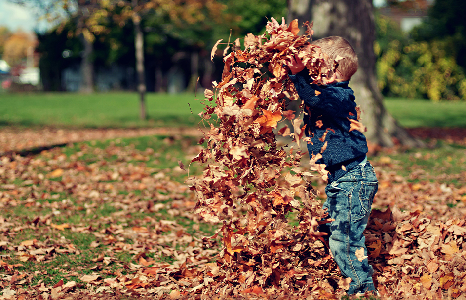 fall-preschool-festival preschool fall festival ideas